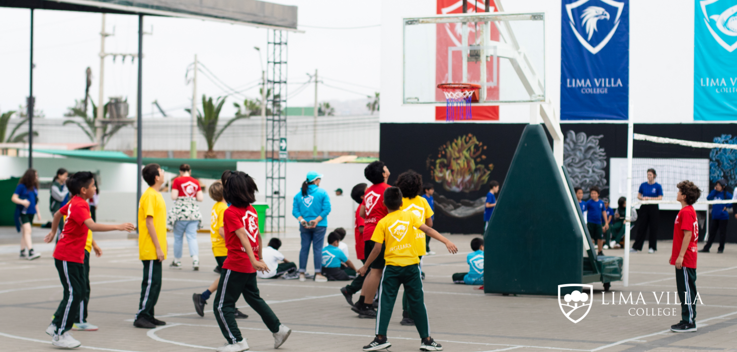 Lima villa college